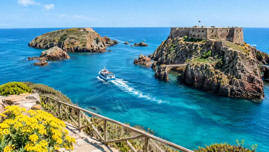 Berlengas Pass: How to Book Your Island Entry Permit