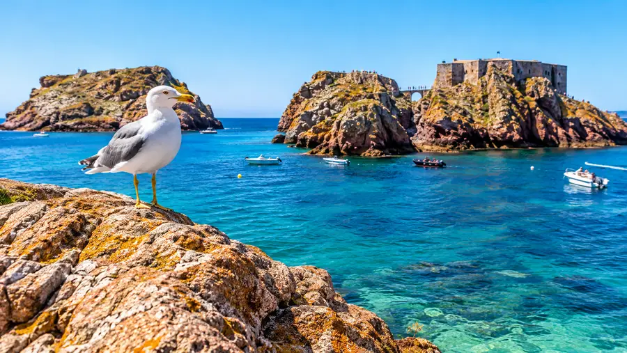 Lisbon to Berlengas Island Day Trip Guide